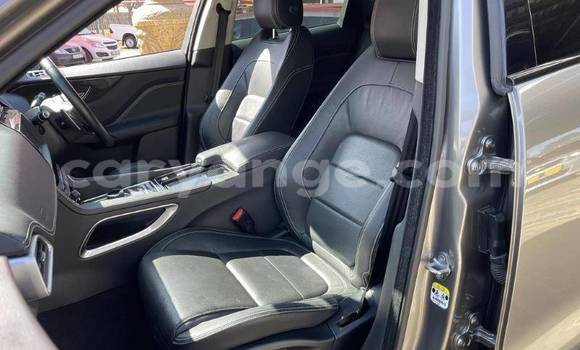 Buy Used Jaguar F-Pace White Car in Windhoek in Namibia Buy Used Jaguar F-Pace White Car in Windhoek in Namibia