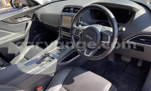 Buy Used Jaguar F-Pace White Car in Windhoek in Namibia Buy Used Jaguar F-Pace White Car in Windhoek in Namibia