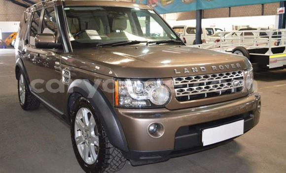 Buy Used Land Rover Discovery Brown Car in Windhoek in Namibia Buy Used Land Rover Discovery Brown Car in Windhoek in Namibia