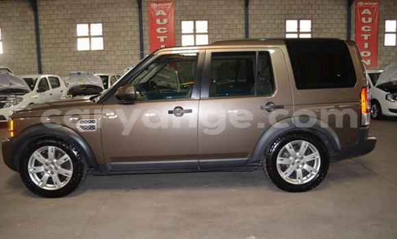 Buy Used Land Rover Discovery Brown Car in Windhoek in Namibia Buy Used Land Rover Discovery Brown Car in Windhoek in Namibia
