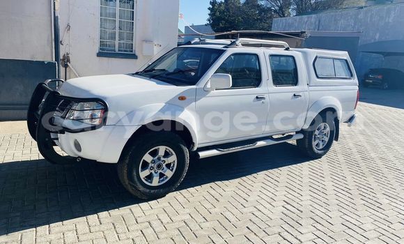 Buy Used Nissan NP 300 White Car in Windhoek in Namibia Buy Used Nissan NP 300 White Car in Windhoek in Namibia