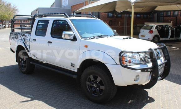 Buy Used Nissan NP 300 White Car in Windhoek in Namibia