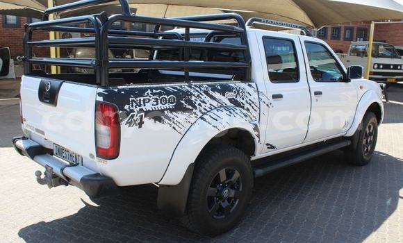 Acheter Occasion Voiture Nissan NP 300 Blanc à Windhoek, Namibie Acheter Occasion Voiture Nissan NP 300 Blanc à Windhoek, Namibie