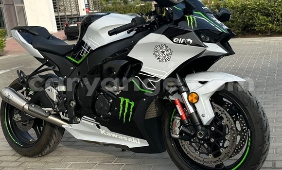 Buy Used Kawasaki Ninja ZX-10R White Bike in Windhoek in Namibia