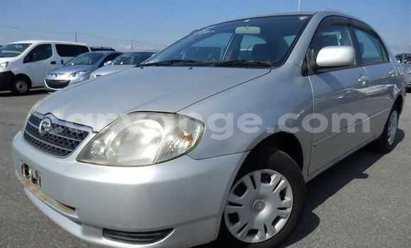 Acheter Occasion Voiture Toyota Corolla Gris à Rehoboth, Hardap Acheter Occasion Voiture Toyota Corolla Gris à Rehoboth, Hardap