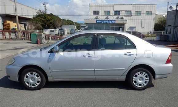 Acheter Occasion Voiture Toyota Corolla Gris à Rehoboth, Hardap Acheter Occasion Voiture Toyota Corolla Gris à Rehoboth, Hardap