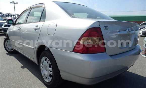 Acheter Occasion Voiture Toyota Corolla Gris à Rehoboth, Hardap Acheter Occasion Voiture Toyota Corolla Gris à Rehoboth, Hardap
