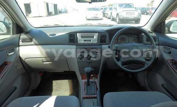 Acheter Occasion Voiture Toyota Corolla Gris à Rehoboth, Hardap Acheter Occasion Voiture Toyota Corolla Gris à Rehoboth, Hardap