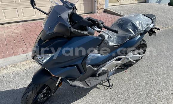 Buy Used Honda Forza Blue Bike in Windhoek in Namibia
