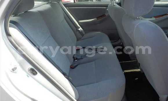 Acheter Occasion Voiture Toyota Corolla Gris à Rehoboth, Hardap Acheter Occasion Voiture Toyota Corolla Gris à Rehoboth, Hardap
