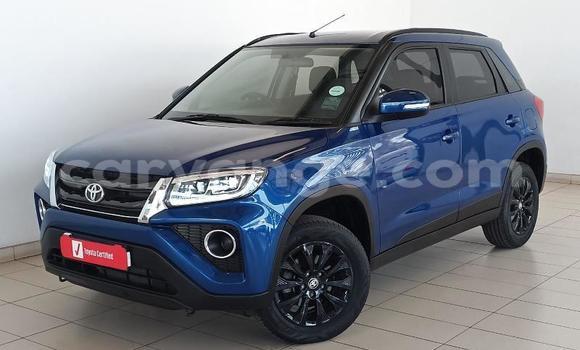 Buy Used Toyota Urban Cruiser Blue Car in Windhoek in Namibia