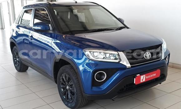 Buy Used Toyota Urban Cruiser Blue Car in Windhoek in Namibia Buy Used Toyota Urban Cruiser Blue Car in Windhoek in Namibia