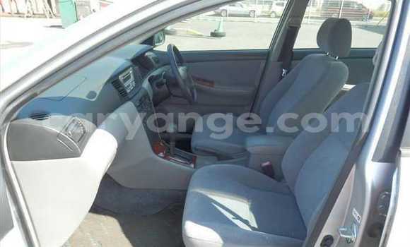 Acheter Occasion Voiture Toyota Corolla Gris à Rehoboth, Hardap Acheter Occasion Voiture Toyota Corolla Gris à Rehoboth, Hardap