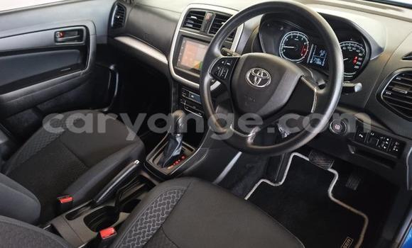 Buy Used Toyota Urban Cruiser Blue Car in Windhoek in Namibia Buy Used Toyota Urban Cruiser Blue Car in Windhoek in Namibia