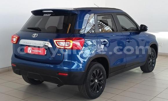 Buy Used Toyota Urban Cruiser Blue Car in Windhoek in Namibia Buy Used Toyota Urban Cruiser Blue Car in Windhoek in Namibia