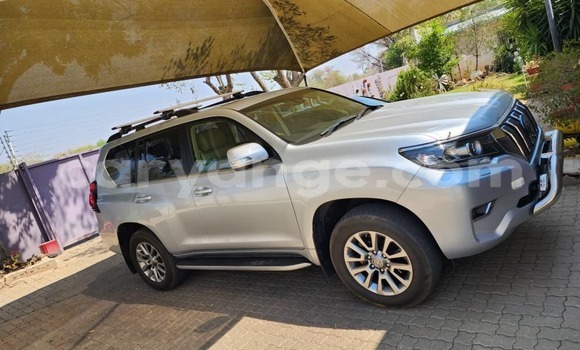 Buy Used Toyota Prado Silver Car in Windhoek in Namibia