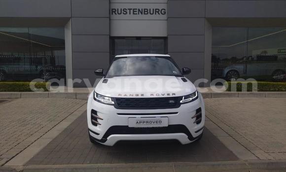 Buy Used Land Rover Range Rover Evoque White Car in Windhoek in Namibia Buy Used Land Rover Range Rover Evoque White Car in Windhoek in Namibia