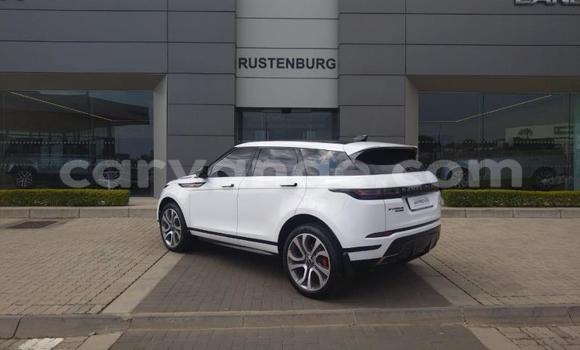 Buy Used Land Rover Range Rover Evoque White Car in Windhoek in Namibia Buy Used Land Rover Range Rover Evoque White Car in Windhoek in Namibia