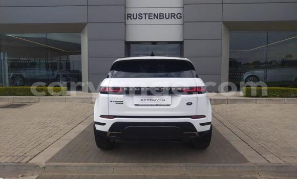 Buy Used Land Rover Range Rover Evoque White Car in Windhoek in Namibia Buy Used Land Rover Range Rover Evoque White Car in Windhoek in Namibia