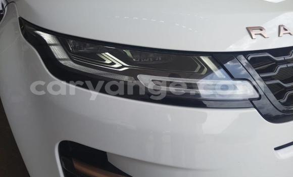 Buy Used Land Rover Range Rover Evoque White Car in Windhoek in Namibia Buy Used Land Rover Range Rover Evoque White Car in Windhoek in Namibia