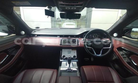 Buy Used Land Rover Range Rover Evoque White Car in Windhoek in Namibia Buy Used Land Rover Range Rover Evoque White Car in Windhoek in Namibia