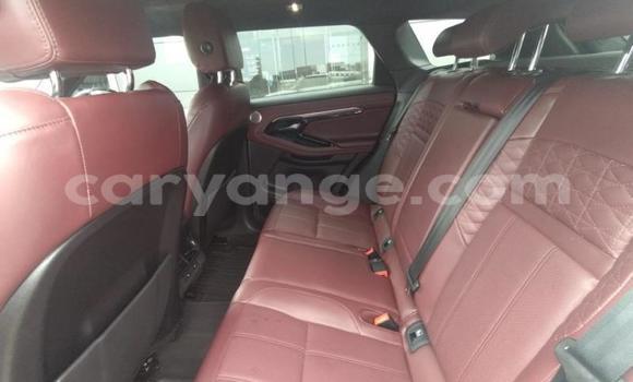 Buy Used Land Rover Range Rover Evoque White Car in Windhoek in Namibia Buy Used Land Rover Range Rover Evoque White Car in Windhoek in Namibia