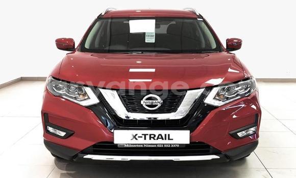Buy Used Nissan X–Trail Red Car in Windhoek in Namibia Buy Used Nissan X–Trail Red Car in Windhoek in Namibia