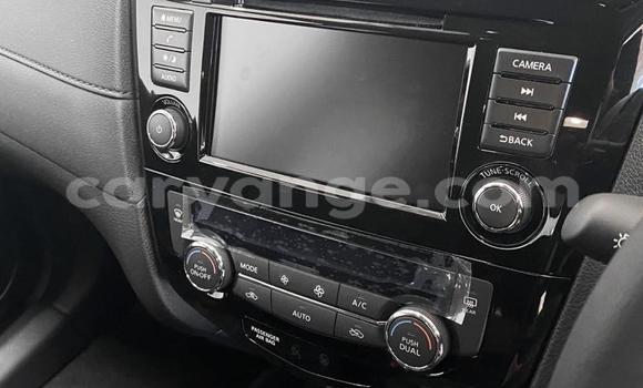 Buy Used Nissan X–Trail Red Car in Windhoek in Namibia Buy Used Nissan X–Trail Red Car in Windhoek in Namibia