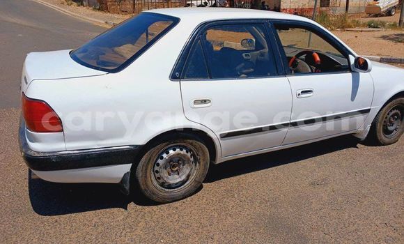 Buy Used Toyota Corolla White Car in Windhoek in Namibia