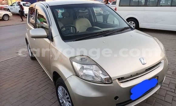 Buy Used Toyota Passo Other Car in Windhoek in Namibia Buy Used Toyota Passo Other Car in Windhoek in Namibia