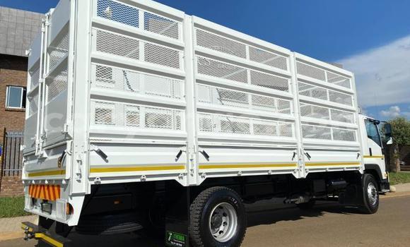 Buy Used Isuzu FTR 850 White Truck in Windhoek in Namibia Buy Used Isuzu FTR 850 White Truck in Windhoek in Namibia