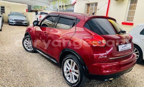 Buy Used Nissan Juke Red Car in Windhoek in Namibia