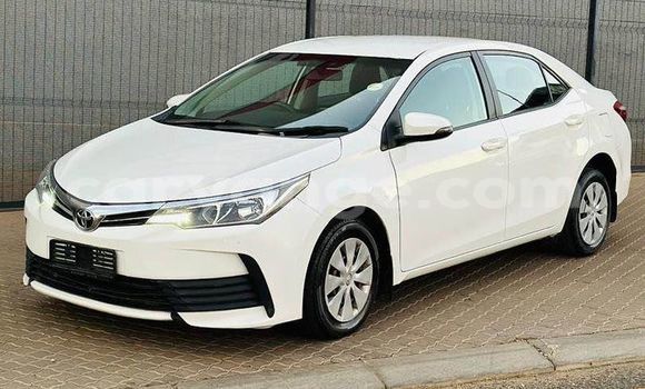 Buy Used Toyota Corolla Other Car in Windhoek in Namibia