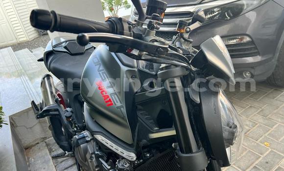 Buy Used Ducati Monster Black Bike in Windhoek in Namibia