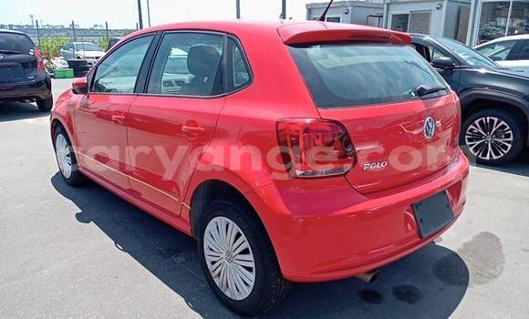 Buy Import Volkswagen Polo Red Car in Windhoek in Namibia Buy Import Volkswagen Polo Red Car in Windhoek in Namibia