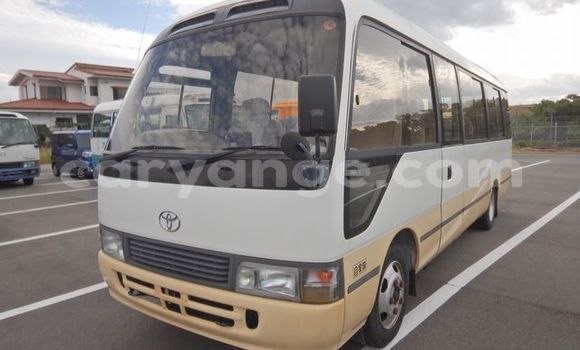 Buy Used Toyota Coaster Other Car in Windhoek in Namibia Buy Used Toyota Coaster Other Car in Windhoek in Namibia