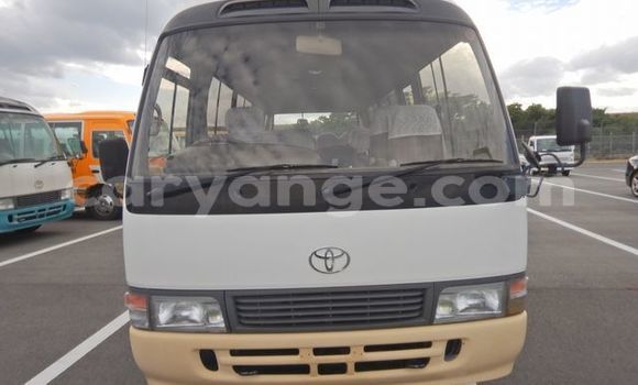 Buy Used Toyota Coaster Other Car in Windhoek in Namibia Buy Used Toyota Coaster Other Car in Windhoek in Namibia