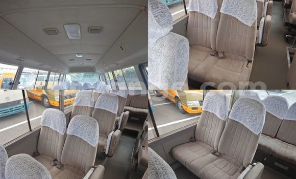 Buy Used Toyota Coaster Other Car in Windhoek in Namibia Buy Used Toyota Coaster Other Car in Windhoek in Namibia