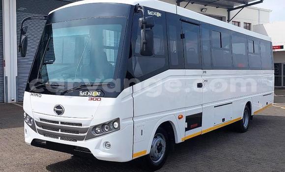 Buy Used Hino 300 Series White Truck in Windhoek in Namibia Buy Used Hino 300 Series White Truck in Windhoek in Namibia