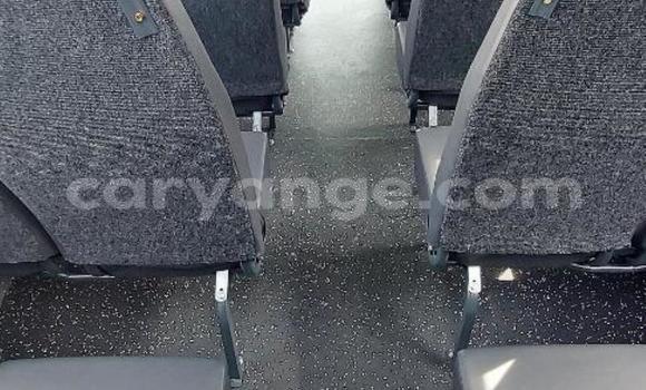 Buy Used Hino 300 Series White Truck in Windhoek in Namibia Buy Used Hino 300 Series White Truck in Windhoek in Namibia