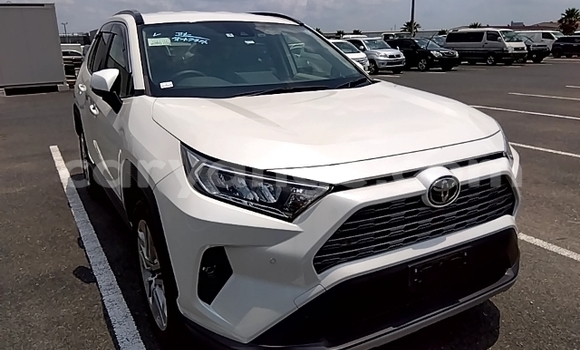 Buy Used Toyota RAV4 White Car in Windhoek in Namibia