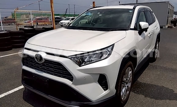 Buy Used Toyota RAV4 White Car in Windhoek in Namibia Buy Used Toyota RAV4 White Car in Windhoek in Namibia