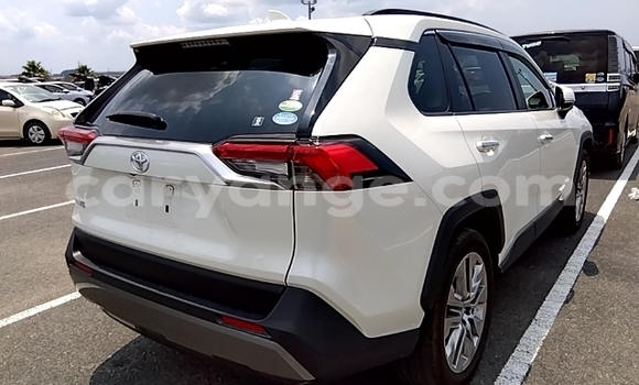 Buy Used Toyota RAV4 White Car in Windhoek in Namibia Buy Used Toyota RAV4 White Car in Windhoek in Namibia