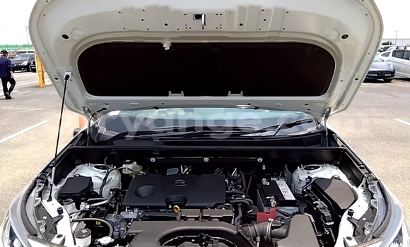 Buy Used Toyota RAV4 White Car in Windhoek in Namibia Buy Used Toyota RAV4 White Car in Windhoek in Namibia