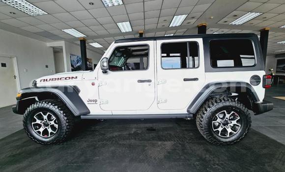 Buy Used Jeep Wrangler White Car in Windhoek in Namibia