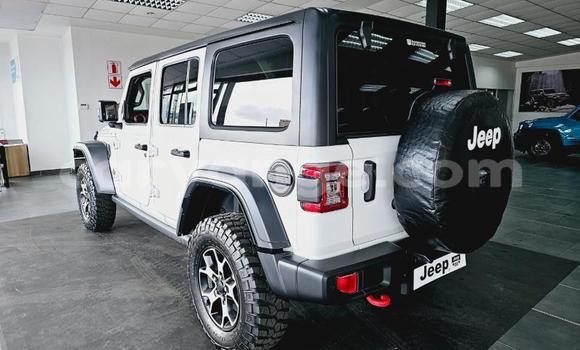 Acheter Occasion Voiture Jeep Wrangler Blanc à Windhoek, Namibie Acheter Occasion Voiture Jeep Wrangler Blanc à Windhoek, Namibie