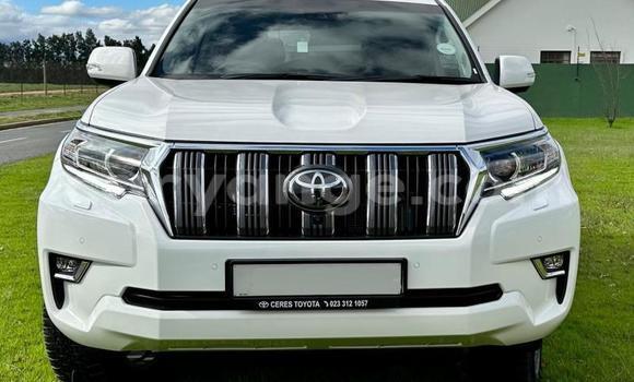 Buy Used Toyota Land Cruiser Prado White Car in Windhoek in Namibia Buy Used Toyota Land Cruiser Prado White Car in Windhoek in Namibia