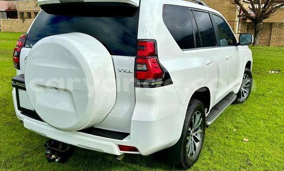 Buy Used Toyota Land Cruiser Prado White Car in Windhoek in Namibia Buy Used Toyota Land Cruiser Prado White Car in Windhoek in Namibia