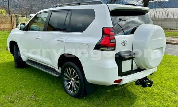 Buy Used Toyota Land Cruiser Prado White Car in Windhoek in Namibia Buy Used Toyota Land Cruiser Prado White Car in Windhoek in Namibia
