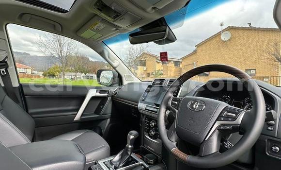 Buy Used Toyota Land Cruiser Prado White Car in Windhoek in Namibia Buy Used Toyota Land Cruiser Prado White Car in Windhoek in Namibia
